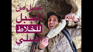 وجدنا  خلايا النحل في هذا الغار عسل جبلي طعم جهنمي في جبال العراق/محمد الدرويش