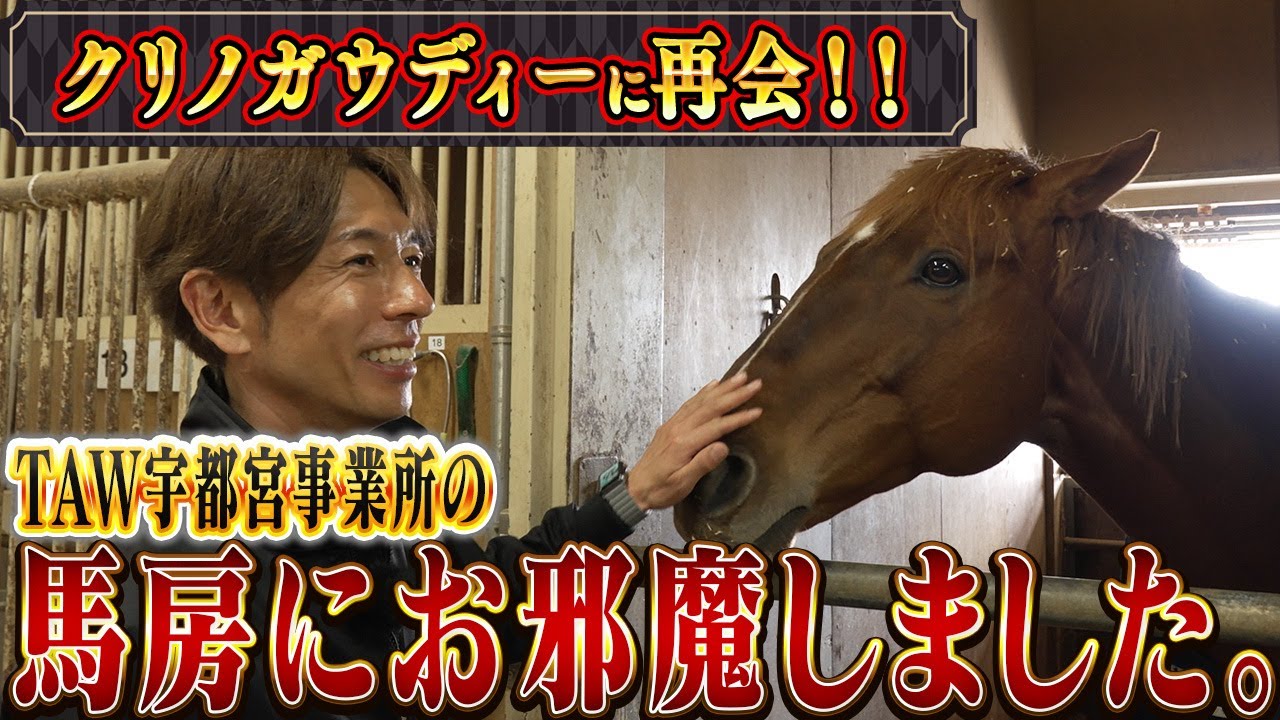 クリノガウディーに再会！！  TAW宇都宮事業所にお邪魔しました～後編～