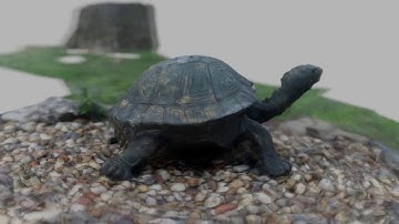 Meshroom Photogrammetry Example