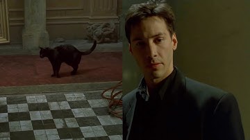 Glitch in the Matrix. Déjà vu. Matrix.