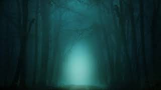 3 Hour | Haunted Forest Sounds | Scary ambient ASMR sounds