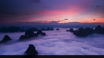 Customer Immersion Experience