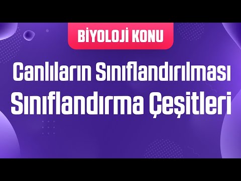 Canlıların Sınıflandırılması - Sınıflandırma Çeşitleri