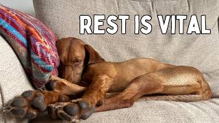 The Importance of Rest