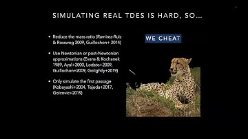 ANITA  Why do tidal disruption events shine in optical & radio more than X-rays? - Daniel Price