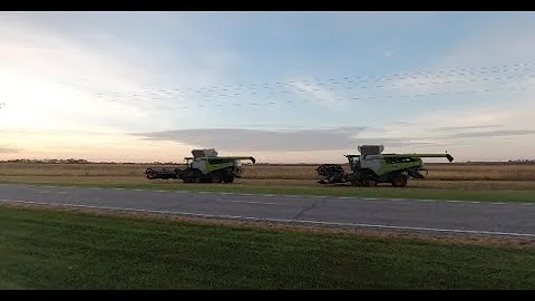 Cover Crops and Soybeans! | #6