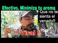 VIRAL EFECTIVO QUE NO TE HUELA EL VENADO MAÑOSO EN LA ESPERA MINIMIZADOR ORIGINALINDETECTABLE FACIL