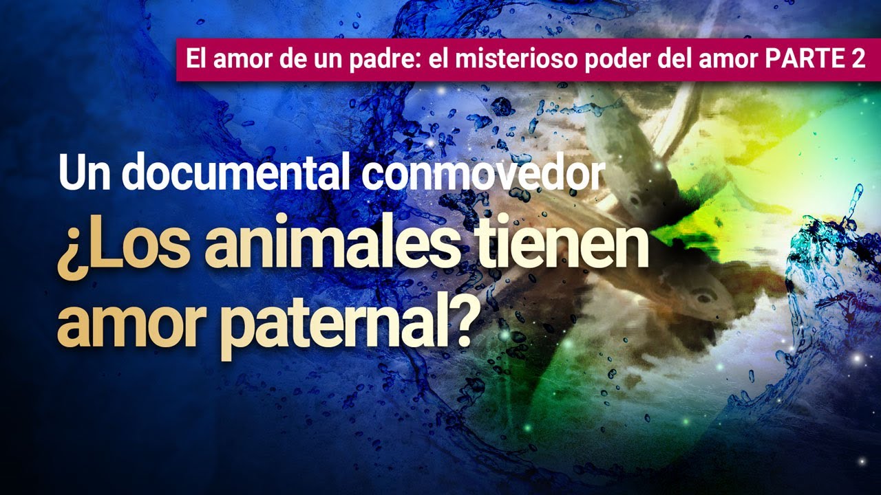 El amor de un padre florece incluso en un mundo de depredadores | Iglesia de Dios, Ahnsahnghong