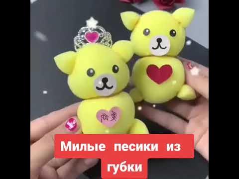 Милые пёсики из губки - YouTube