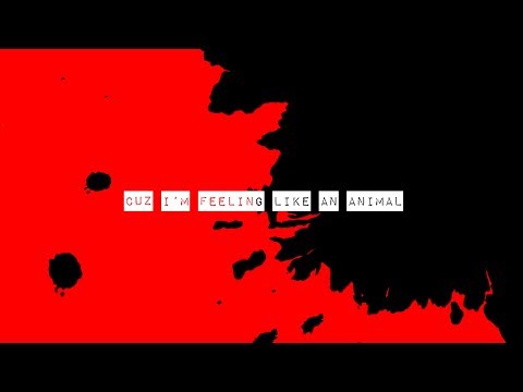 Sleater-Kinney - ANIMAL (Official Lyric Video)