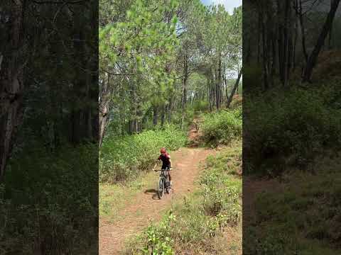 #mtb #lifeisbutadream #automobile #ihavethisthingwithplants #downhill #theothersideofmakebelieve