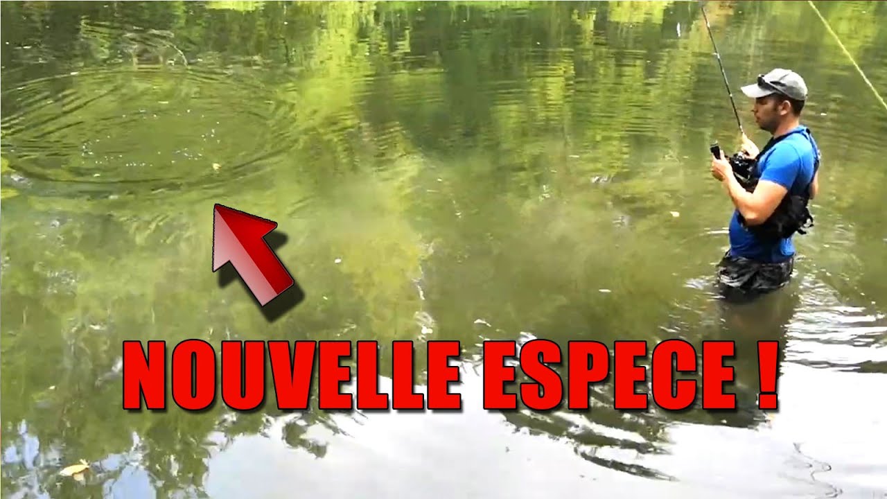 Pêche d'une nouvelle espèce ! Poisson SURPRISE !!! Feat OCEANIC