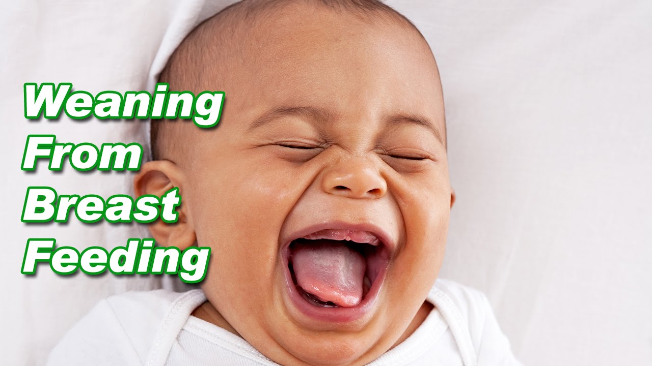 Weaning Baby From Breastfeeding YouTube