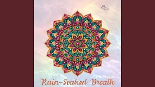 Breath of Harmony (4-4-4-4 Breathing Pattern)