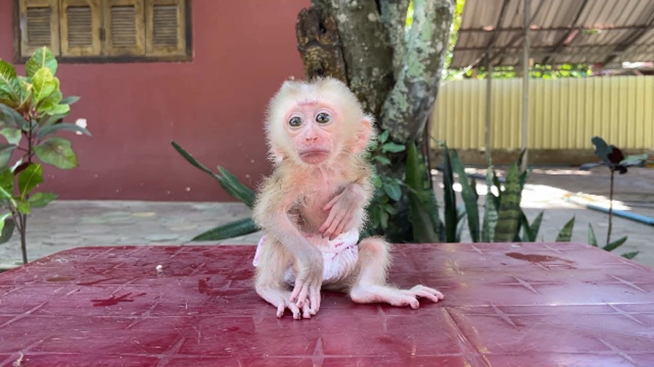 S0rry My Dear.., A Tong Full Of Te@r In His Eyes To Please Mommy