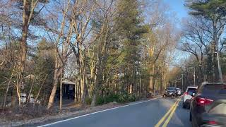 When A Flock of Wild Turkeys Stops Traffic During the Morning Commute