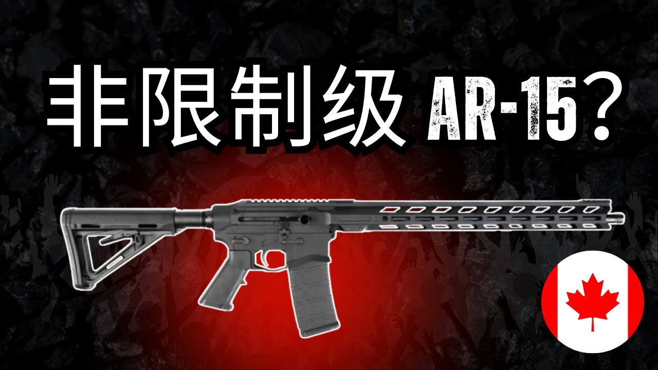 加拿大直拉式AR步枪 - Maple Ridge Armoury Renegade MKII 223 Wylde 直拉式步枪 开箱视频 + 简单清洁