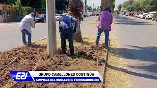 GRUPO CAMELLONES CONTINUA CON LA LIMPIEZA DEL BOULEVARD FERROCARRILERO