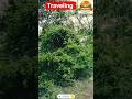 Roadtrip #shorts #roadtrip #travel #viral #trending #yt