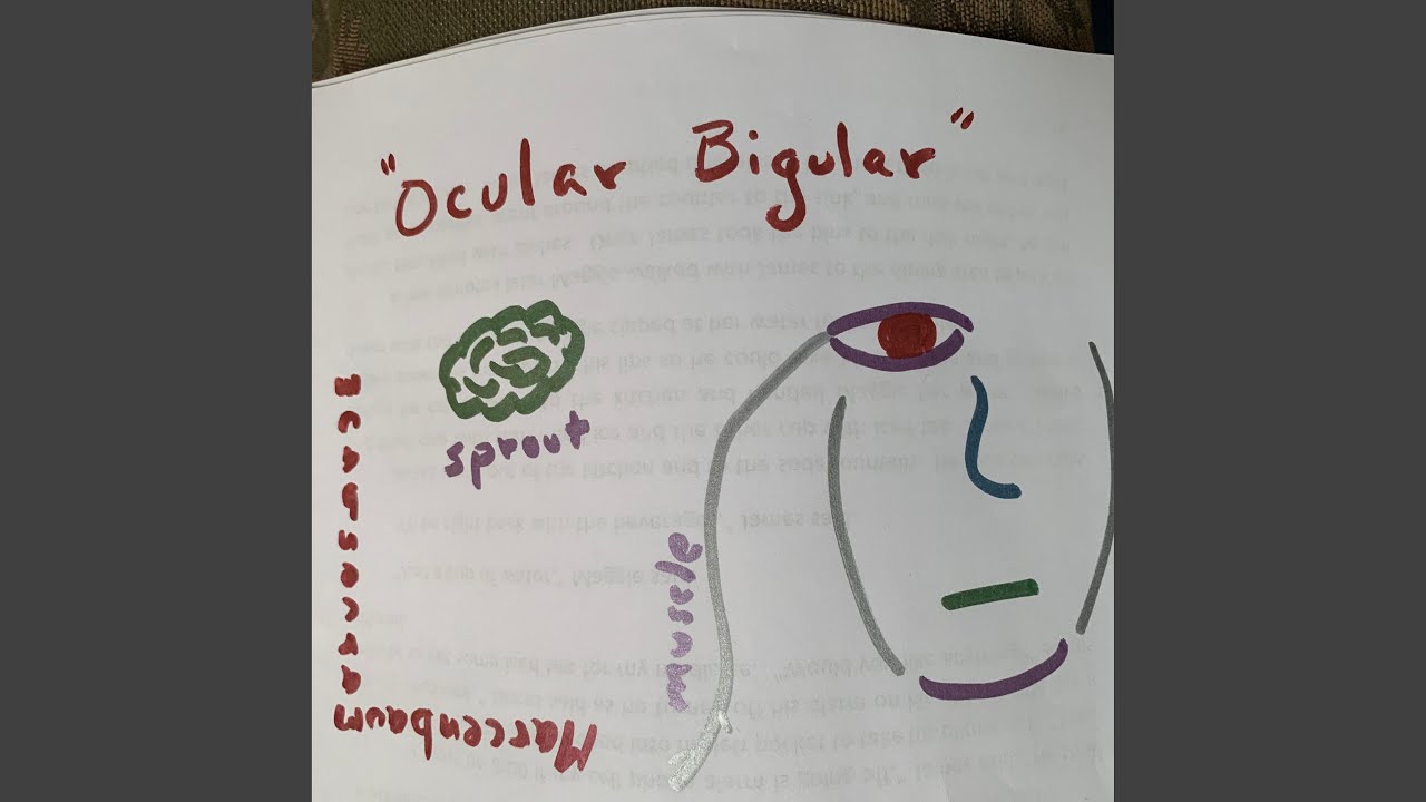 Ocular Bigular - YouTube