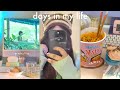 A few days in the life of an indian girl  aesthetic vlog 