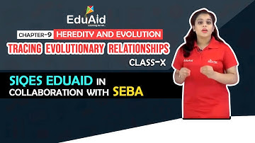 Tracing Evolutionary Relationships | Heredity and Evolution | Class 10 Science | Lecture 10 | EduAid