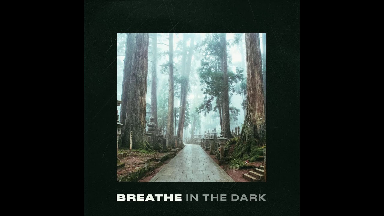 Pedro Santo ✞ - Breathe in the dark tutoriales de cejas