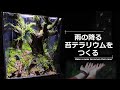 Creating a Rain Terrarium