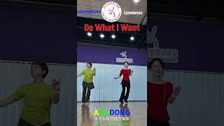 Do What I Want Linedance #shorts Intermediate @ARADONG linedance #아라동 #ARADONG #아산시체육회