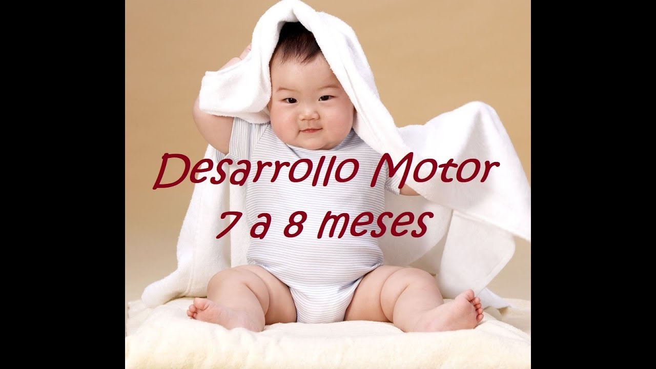 Caracteristicas Del Desarrollo Del Bebe 7 A 8 Meses Youtube