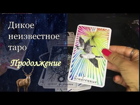 Дикое неизвестное таро. Значения карт. Продолжение.