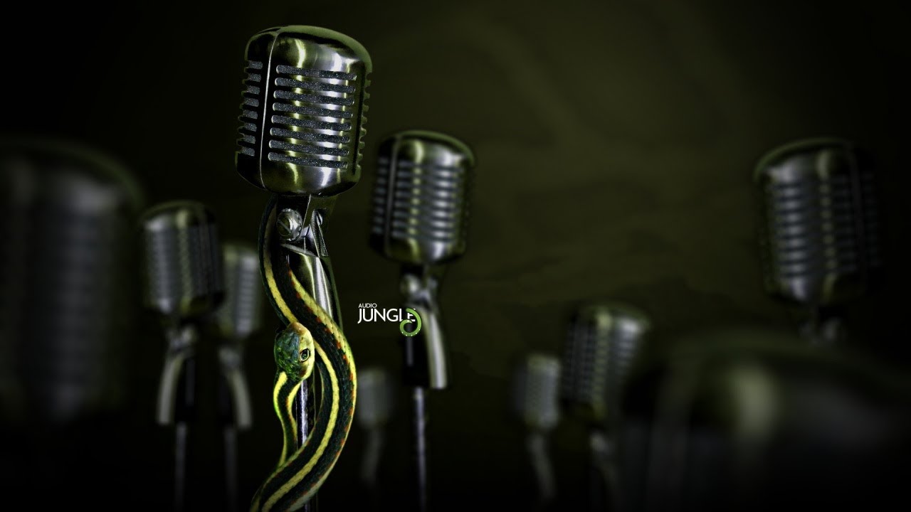 Sound - Caveman Happy Vocal Expression | AudioJungle Download