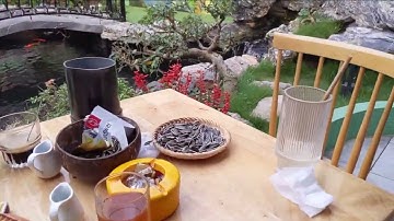 Quán cà phê với không gian sân vườn và hồ cá koi thật đẹp