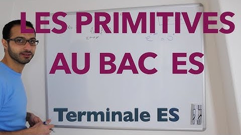 Les primitives au BAC