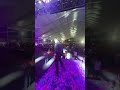 Elexir music festival , Chandigarh Music festival // Swattrex // Mini Vlog