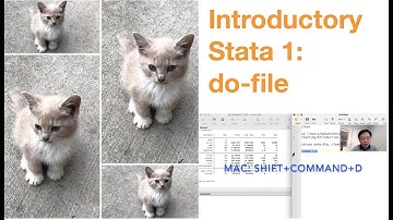 Introductory Stata 1: do-file