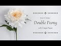 MAKING A DOUBLE WHITE PEONY with CREPE PAPER