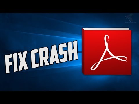 Why is my Adobe Reader crashing?