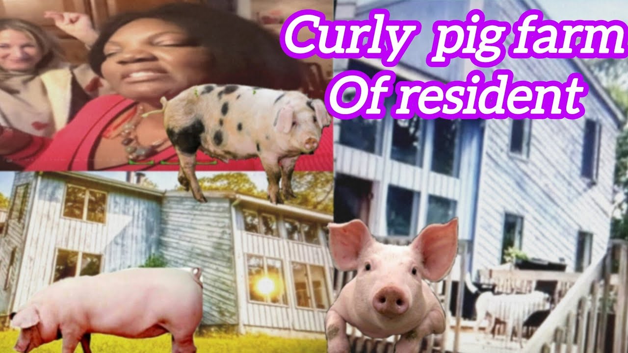 Curly in Trouble Again Her Address Leak  Neighbour Contacted By 360 Department Of Drone