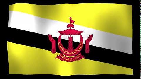 Brunei Flag 4K Loop Video