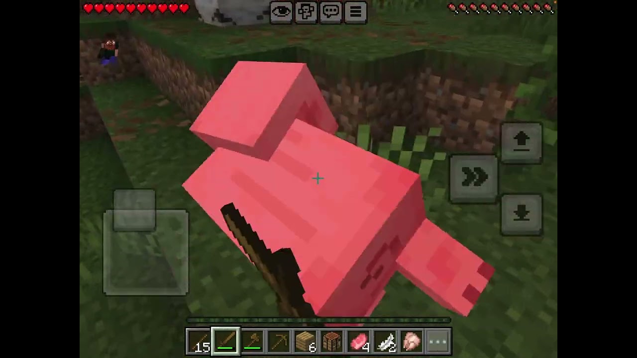 play minecraft everyday until i find diamonds