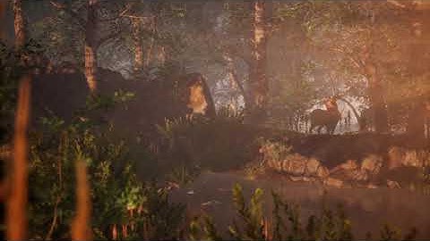 Forest Environment Unreal Engine 4