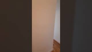 489 Eastern Parkway 8B