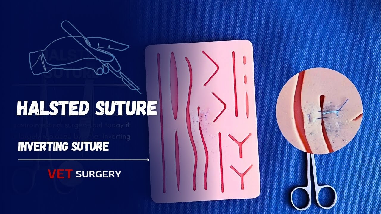 halsted suture pattern |halsted suture
