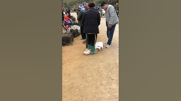 Chợ Phiên Cốc Ly Bắc Hà Lào Cai