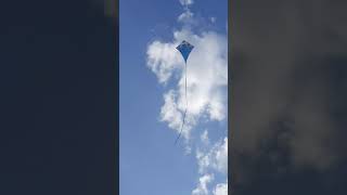 Decathlon Modular Kite Flying! | ORAO | #Kite | IzyPilot 140 | #Decathlon | #Shorts