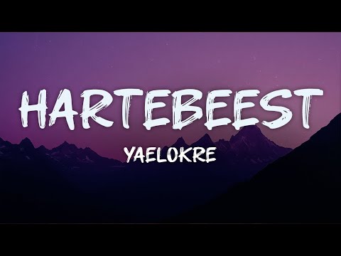 yaelokre - hartebeest (lyrics)