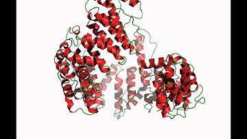 PyMol Video Tutorial Example Video