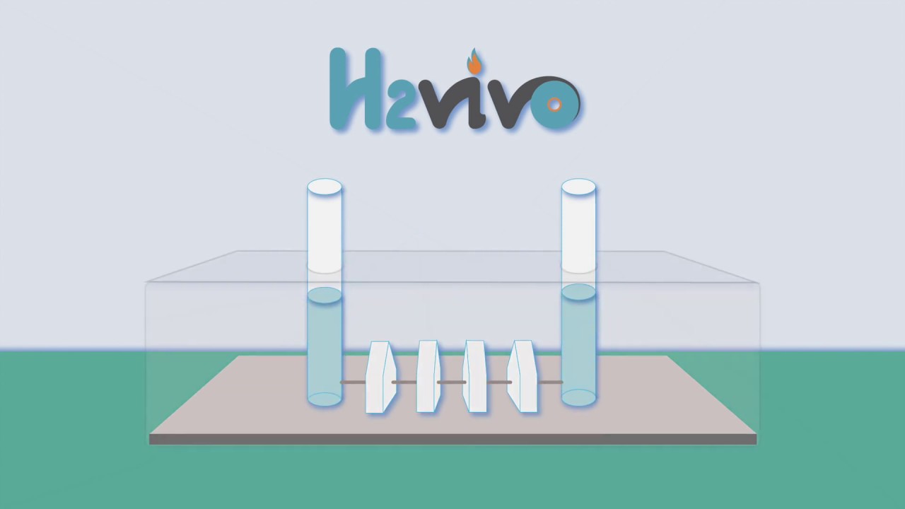 DOMESTIC HYDROGEN OXYGEN Gas Cell Separator H2 O2 What s H2VIVO domestic-hydrogen-oxygen-gas-cell-separator-h2-o2-what-s-h2vivo