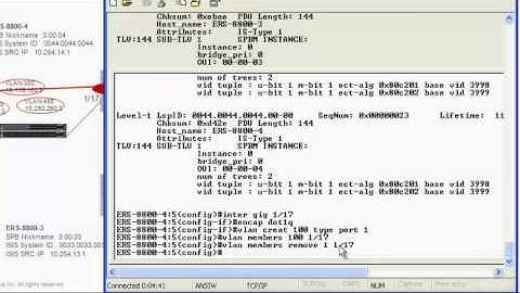 Layer 2 Virtual Service Network Set Up